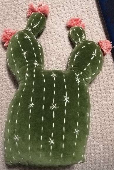 no brand Other - Cactus pillow